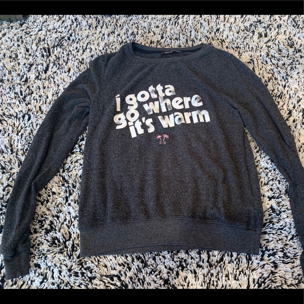 Wildfox sweatshirt “ I Gotta Go Where it’s Warm”